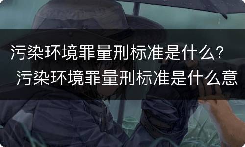 污染环境罪量刑标准是什么？ 污染环境罪量刑标准是什么意思