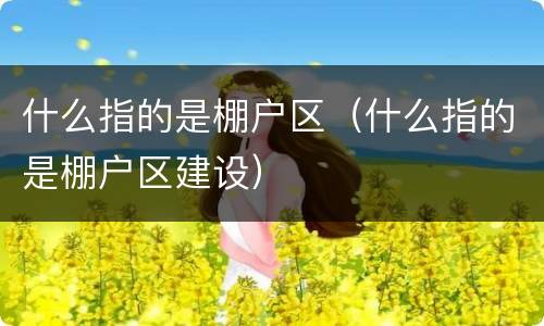 什么指的是棚户区（什么指的是棚户区建设）