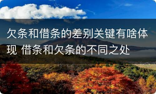 欠条和借条的差别关键有啥体现 借条和欠条的不同之处