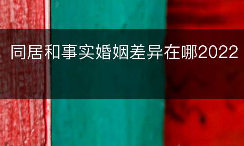 同居和事实婚姻差异在哪2022