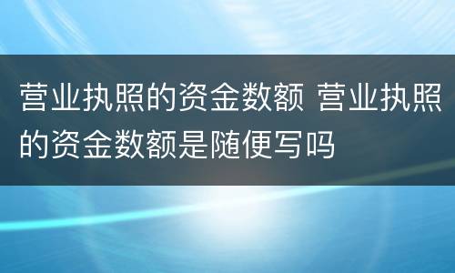 营业执照的资金数额 营业执照的资金数额是随便写吗