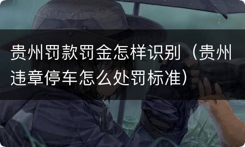 贵州罚款罚金怎样识别（贵州违章停车怎么处罚标准）
