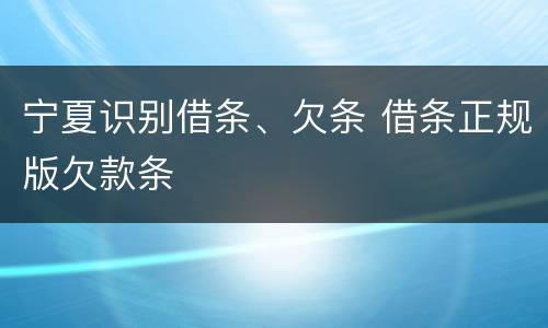 宁夏识别借条、欠条 借条正规版欠款条