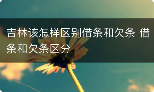 吉林该怎样区别借条和欠条 借条和欠条区分