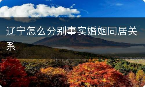辽宁怎么分别事实婚姻同居关系