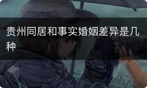 贵州同居和事实婚姻差异是几种