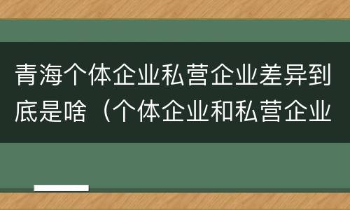 青海个体企业私营企业差异到底是啥（个体企业和私营企业的区别）