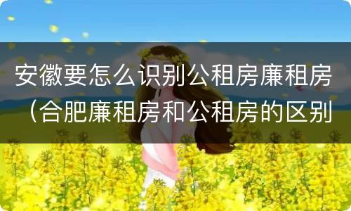 安徽要怎么识别公租房廉租房（合肥廉租房和公租房的区别）