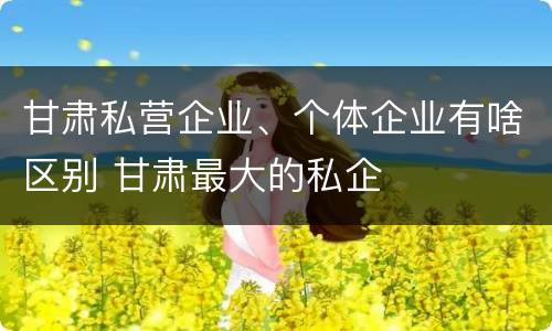 甘肃私营企业、个体企业有啥区别 甘肃最大的私企