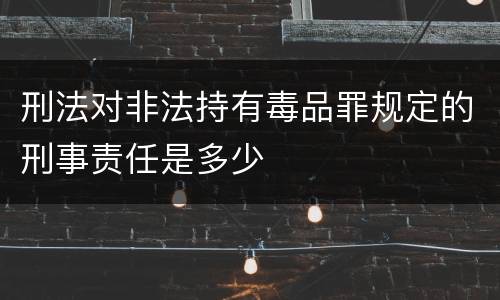 刑法对非法持有毒品罪规定的刑事责任是多少