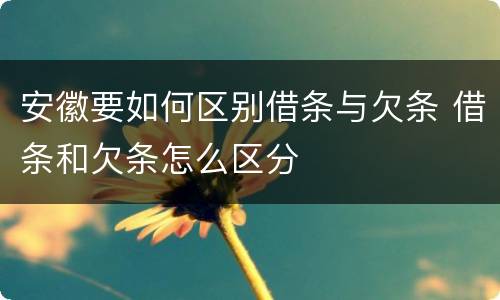 安徽要如何区别借条与欠条 借条和欠条怎么区分