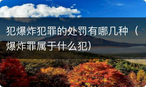 犯爆炸犯罪的处罚有哪几种（爆炸罪属于什么犯）