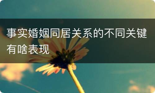 事实婚姻同居关系的不同关键有啥表现