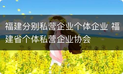 福建分别私营企业个体企业 福建省个体私营企业协会