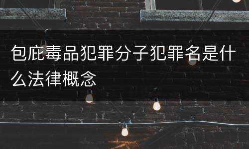 包庇毒品犯罪分子犯罪名是什么法律概念