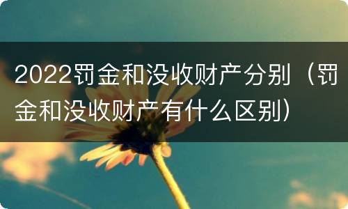 2022罚金和没收财产分别（罚金和没收财产有什么区别）