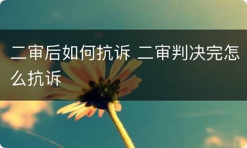 二审后如何抗诉 二审判决完怎么抗诉