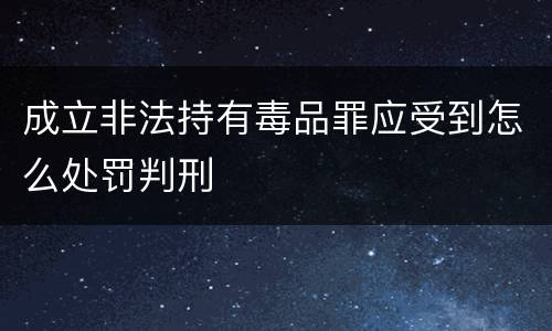 成立非法持有毒品罪应受到怎么处罚判刑
