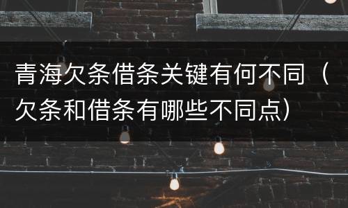 青海欠条借条关键有何不同（欠条和借条有哪些不同点）