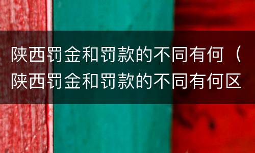 陕西罚金和罚款的不同有何（陕西罚金和罚款的不同有何区别）