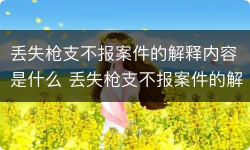 丢失枪支不报案件的解释内容是什么 丢失枪支不报案件的解释内容是什么意思