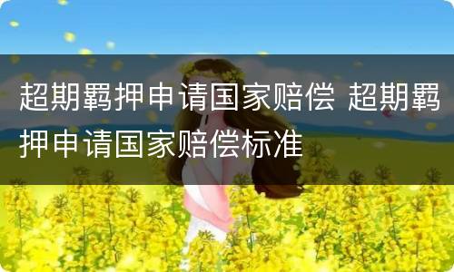 超期羁押申请国家赔偿 超期羁押申请国家赔偿标准