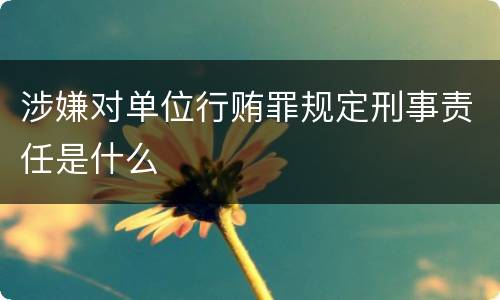 涉嫌对单位行贿罪规定刑事责任是什么