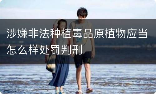 涉嫌非法种植毒品原植物应当怎么样处罚判刑