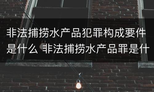 非法捕捞水产品犯罪构成要件是什么 非法捕捞水产品罪是什么犯罪类型