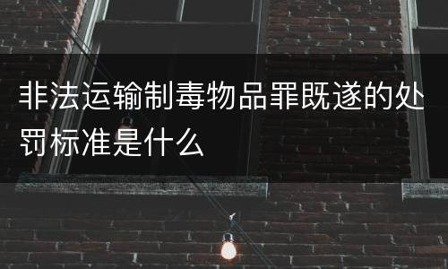 非法运输制毒物品罪既遂的处罚标准是什么