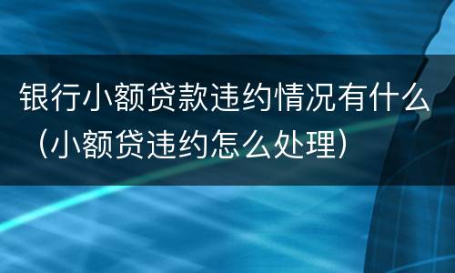 银行小额贷款违约情况有什么（小额贷违约怎么处理）