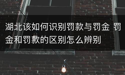 湖北该如何识别罚款与罚金 罚金和罚款的区别怎么辨别