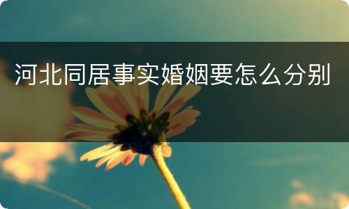 河北同居事实婚姻要怎么分别