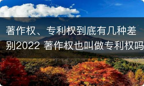 著作权、专利权到底有几种差别2022 著作权也叫做专利权吗