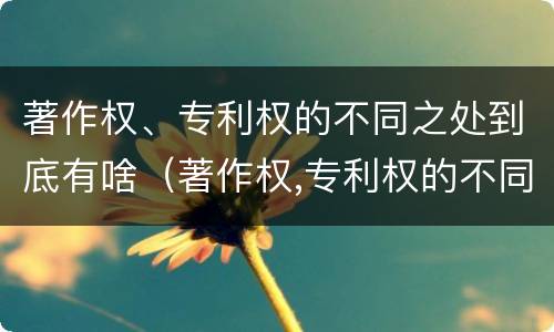 著作权、专利权的不同之处到底有啥（著作权,专利权的不同之处到底有啥区别）