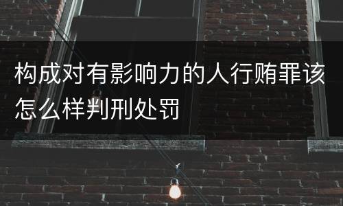构成对有影响力的人行贿罪该怎么样判刑处罚