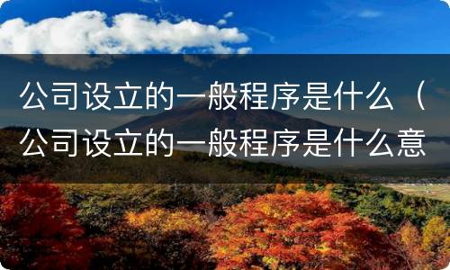 公司设立的一般程序是什么（公司设立的一般程序是什么意思）