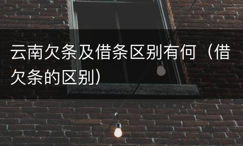 云南欠条及借条区别有何（借欠条的区别）