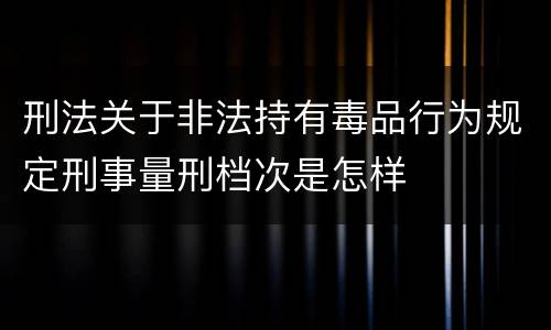 刑法关于非法持有毒品行为规定刑事量刑档次是怎样