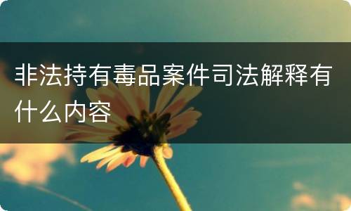 非法持有毒品案件司法解释有什么内容