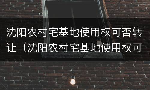 沈阳农村宅基地使用权可否转让（沈阳农村宅基地使用权可否转让给子女）