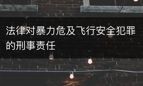 法律对暴力危及飞行安全犯罪的刑事责任