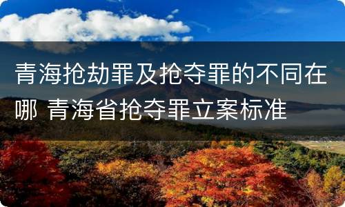 青海抢劫罪及抢夺罪的不同在哪 青海省抢夺罪立案标准
