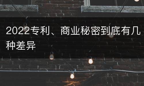 2022专利、商业秘密到底有几种差异