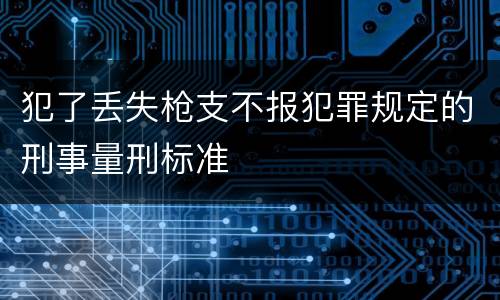犯了丢失枪支不报犯罪规定的刑事量刑标准