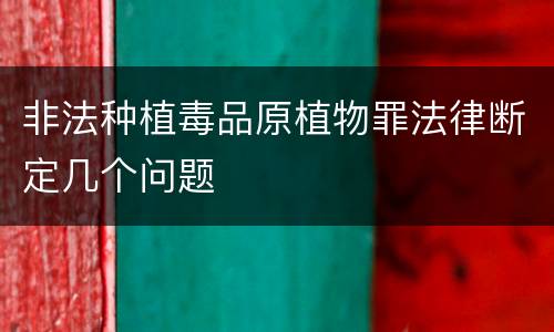 非法种植毒品原植物罪法律断定几个问题