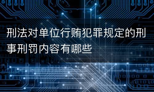 刑法对单位行贿犯罪规定的刑事刑罚内容有哪些