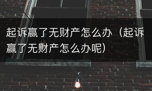 起诉赢了无财产怎么办（起诉赢了无财产怎么办呢）