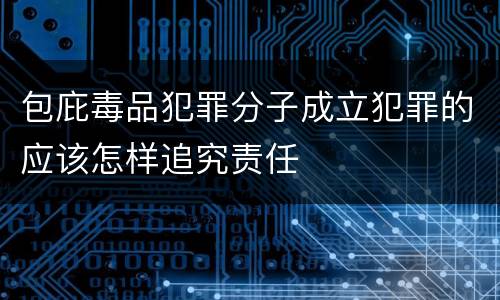 包庇毒品犯罪分子成立犯罪的应该怎样追究责任