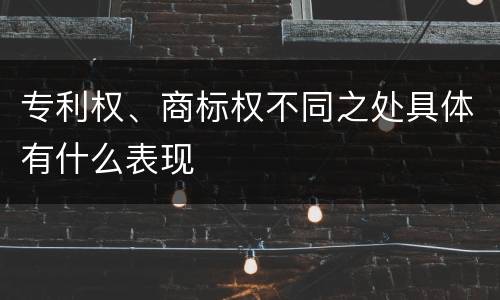 专利权、商标权不同之处具体有什么表现